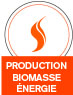 production biomasse énergie